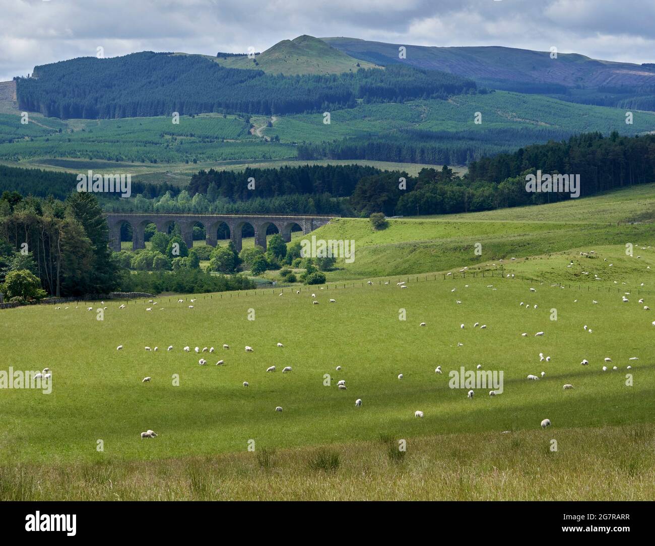 Shankend Viadotto 10 miglia a sud di Hawick. Attualmente disutilizzato, ma può essere ripristinato se la Waverley Line viene estesa da Tweedbank a Carlisle. Foto Stock
