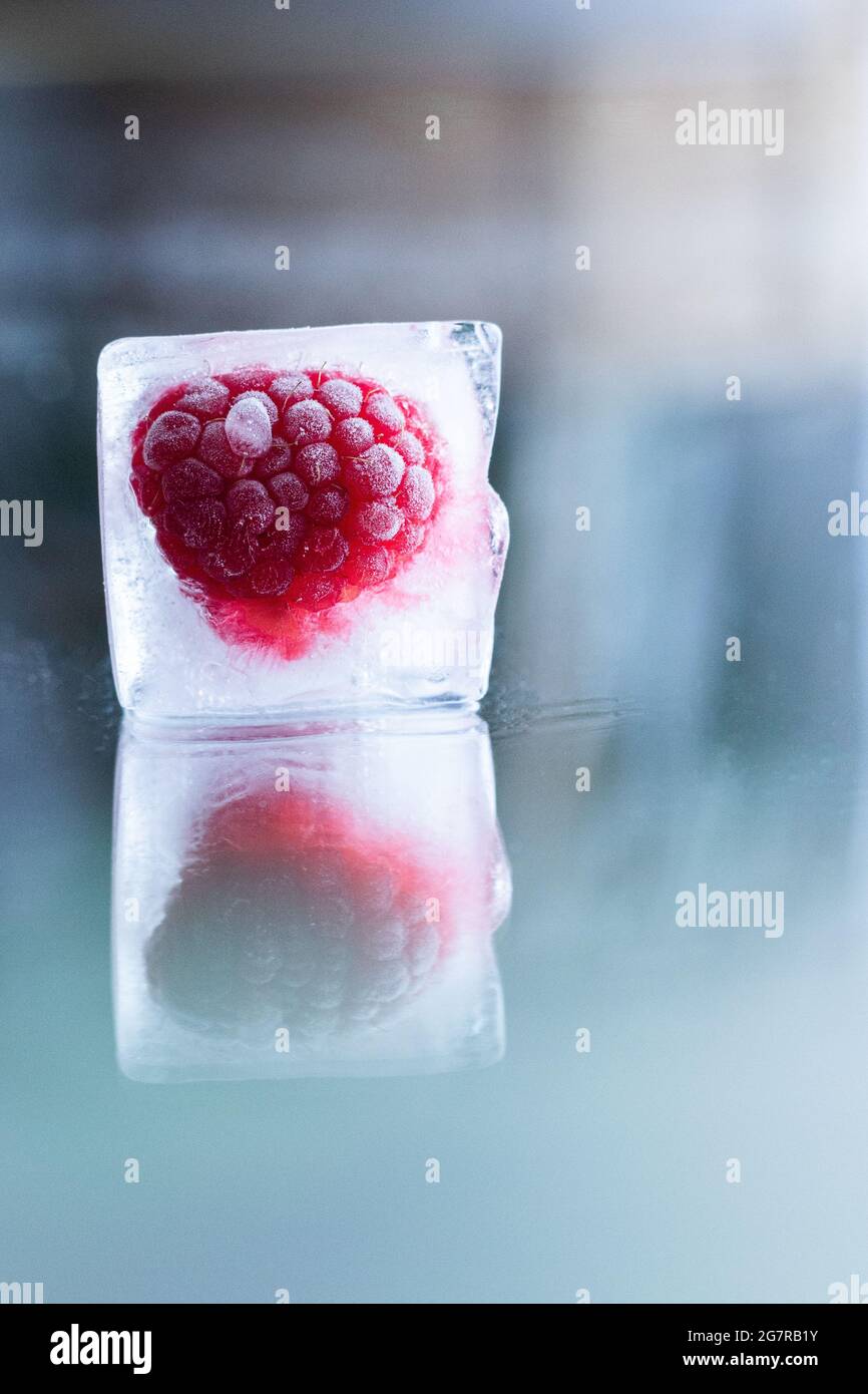 Primo piano di lampone congelato in un cubetto di ghiaccio con riflessione; fondente cubetto di ghiaccio; sano aroma di acqua Foto Stock