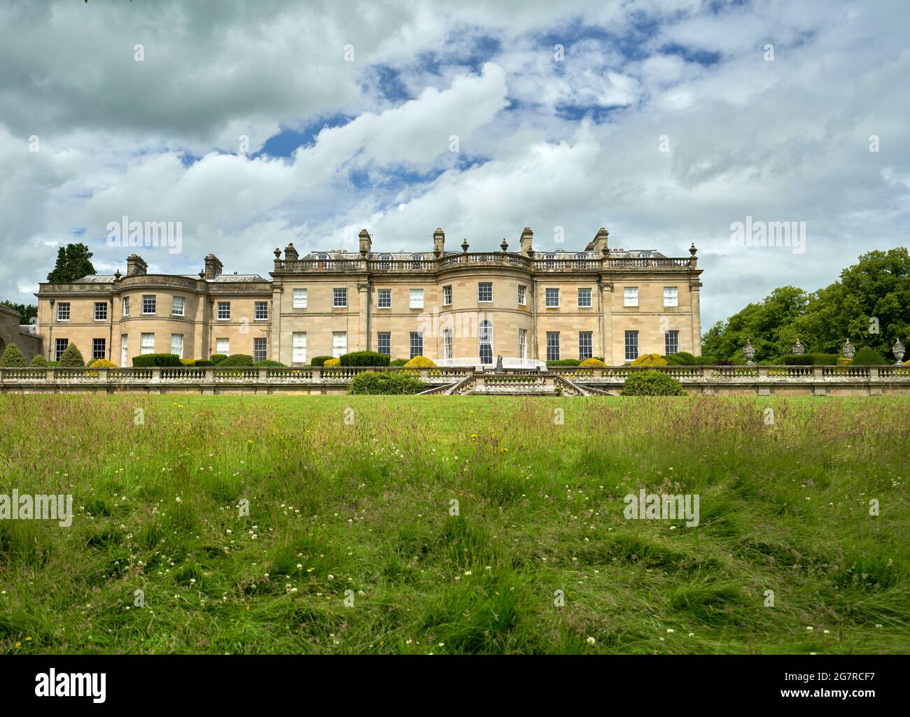 Un prato appositamente disintagliato per incoraggiare la diversità della vita delle piante per gli impollinatori. Manderston House ai confini scozzesi. Foto Stock