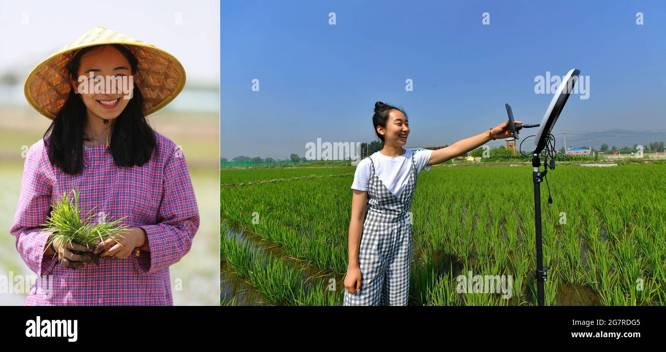 (210716) -- TAIYUAN, 16 luglio 2021 (Xinhua) -- in questa foto combinata scattata il 9 luglio 2021, la parte sinistra mostra Cheng Yujiao che detiene un fascio di piantine di riso; E la parte destra mostra il live streaming di Cheng Yujiao in un campo di riso, nel villaggio di Sanjiacun nel distretto di Jinyuan, nella città di Taiyuan, nella provincia di Shanxi, nella Cina settentrionale. Cheng Yujiao, 24 anni, tornò nella sua città natale per iniziare un complesso agricolo di riso-pesce-verdure dopo la sua laurea dall'estero nel 2019. Cheng introduce la conoscenza crescente del riso e vende i prodotti locali del riso attraverso flussi live bilingue. Con i social media e la condivisione di video Foto Stock