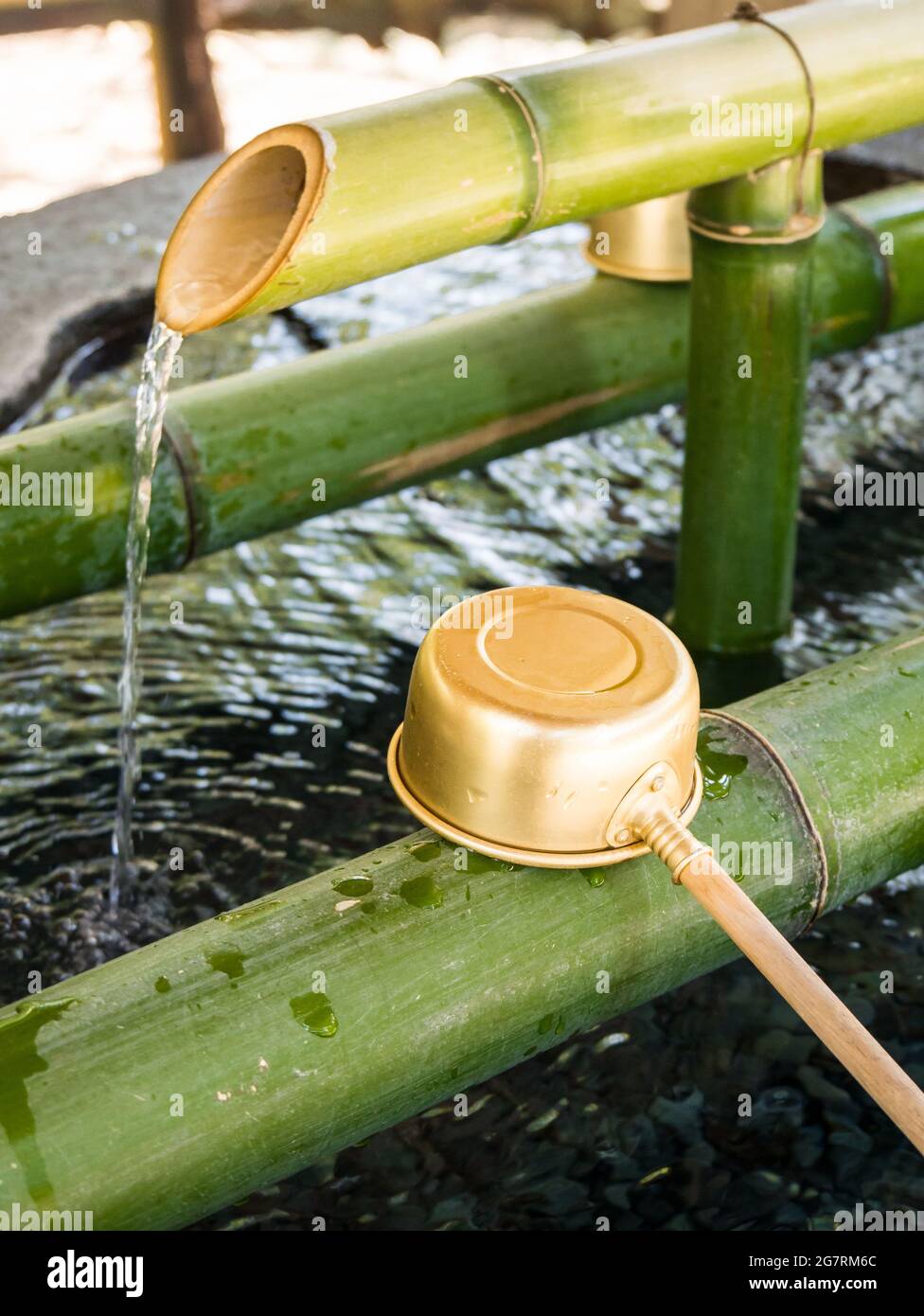 Fontana di bambù naturale all'interno del tempio di Hase a Kamakura, Giappone Foto Stock