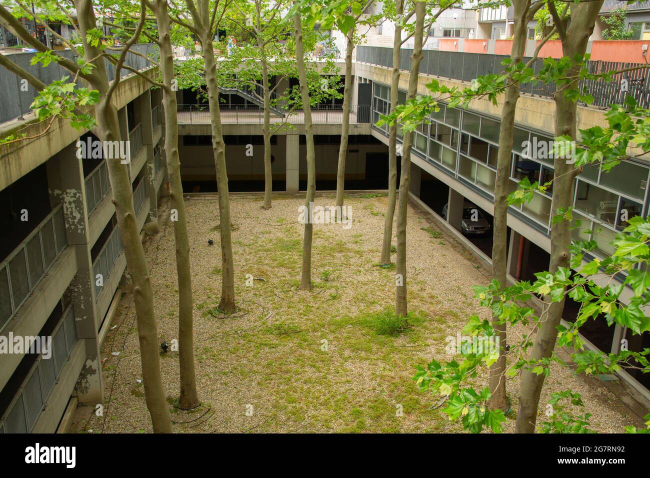 Grüne Bäume in Mitten von Gebäuden und Garagen Foto Stock