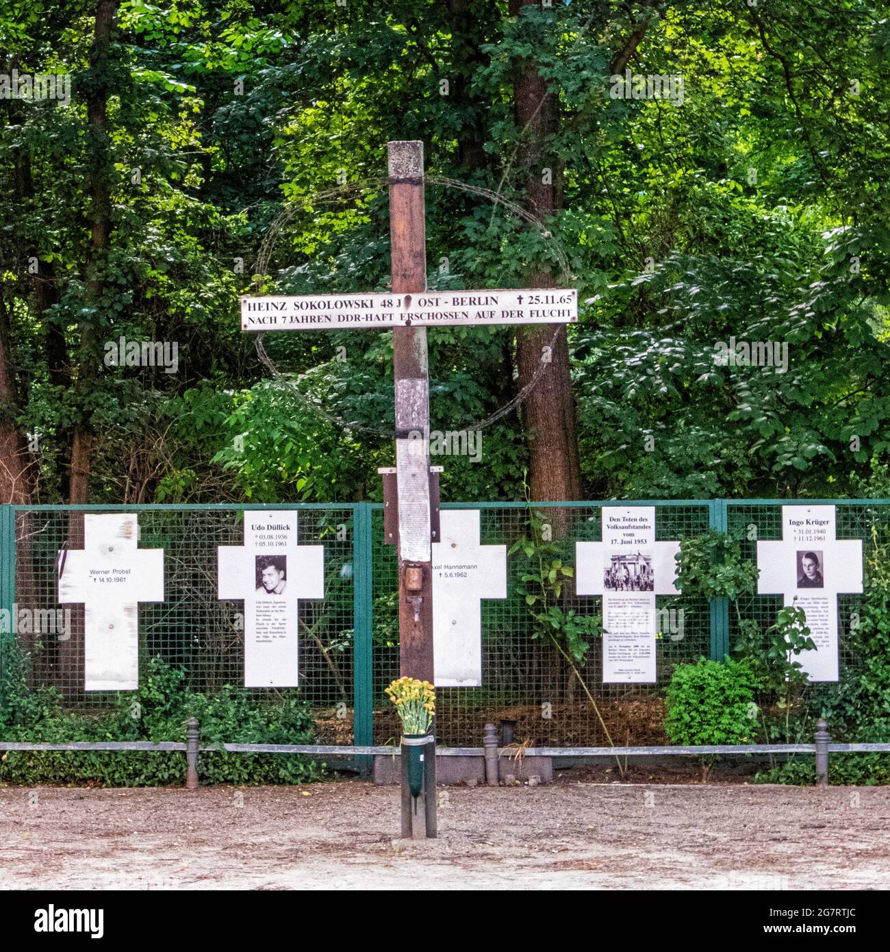 Croci bianche. Memoriale per le vittime del muro di Berlino vicino a Tiergarten, Mitte Berlin. Foto Stock