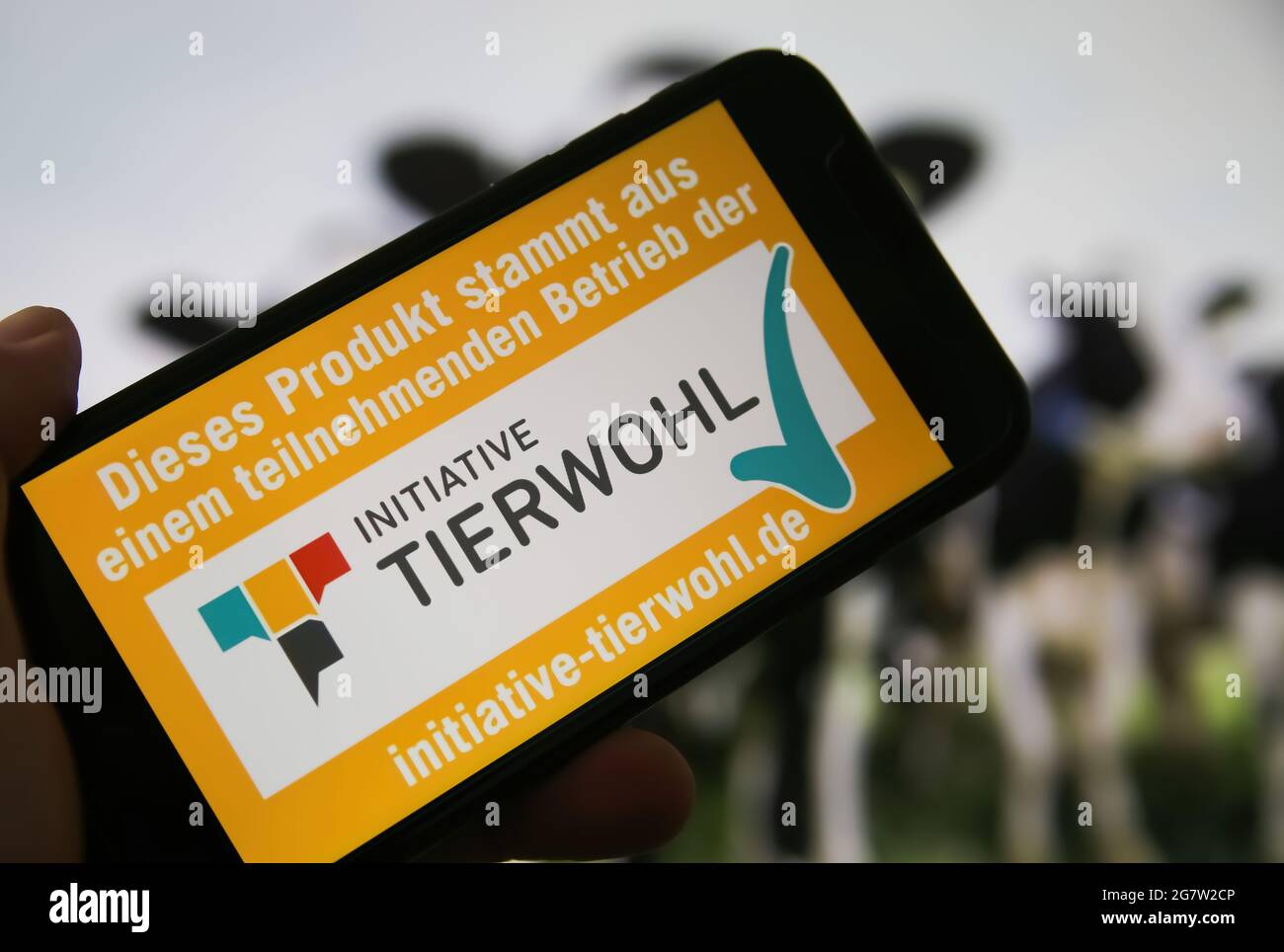 Viersen, Germania - 1 luglio. 2021: Closeup dello schermo del telefono con la scritta del logo di iniziativa tierwohl, sfondo di mucche sfocate Foto Stock