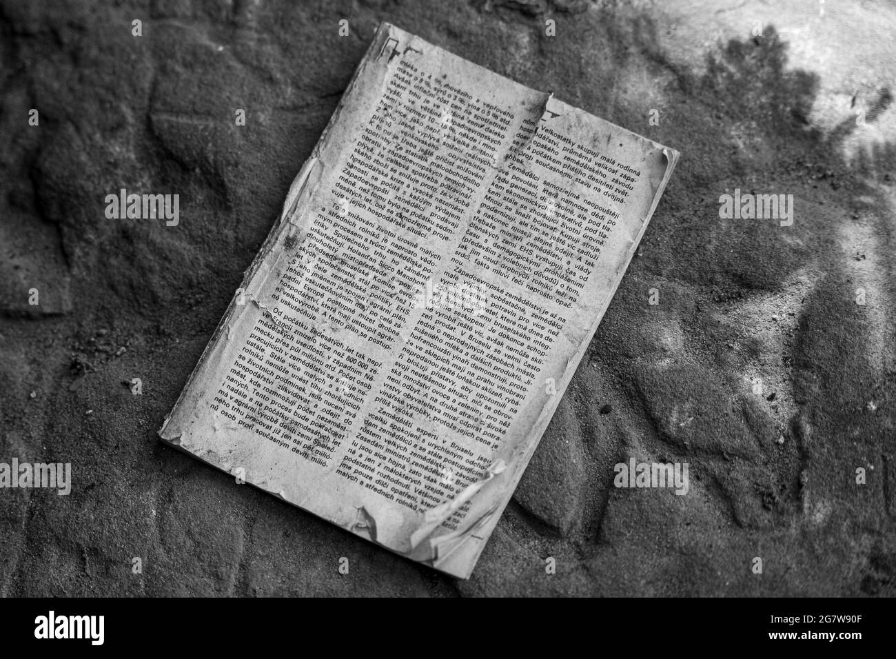 Immagine in scala di grigi di un'antica scrittura criptica Foto Stock