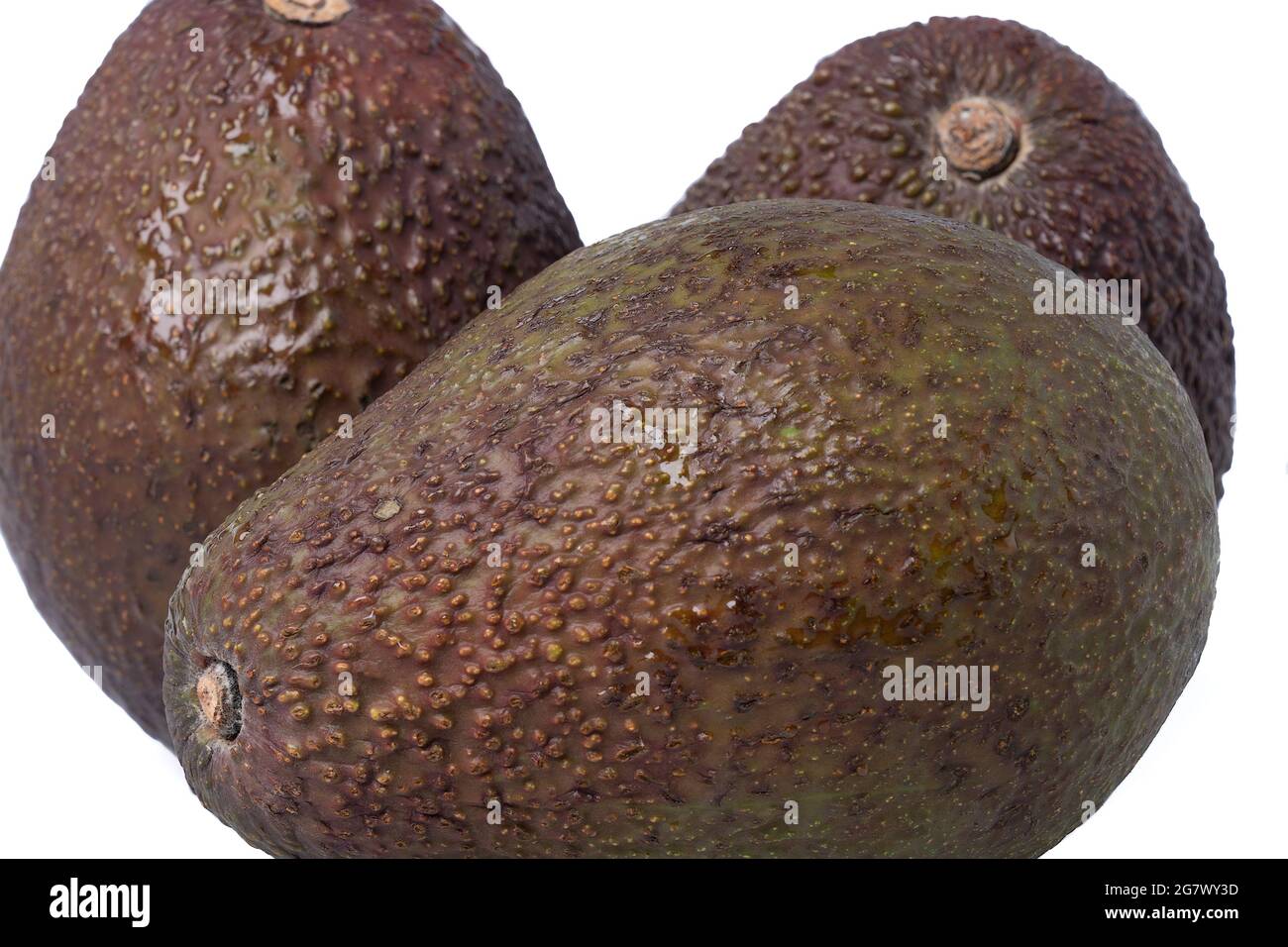 Tre avocado verde organico maturo isolato su sfondo bianco Foto Stock