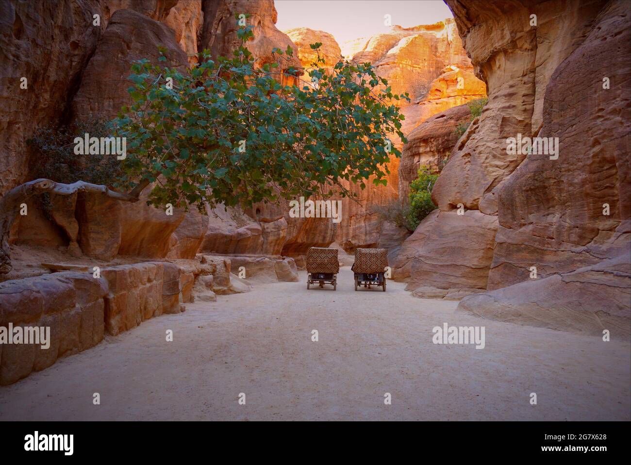 Petra è un simbolo della Giordania, così come l'attrazione turistica più visitata della Giordania. Nominata una delle nuove sette meraviglie del mondo. Foto Stock