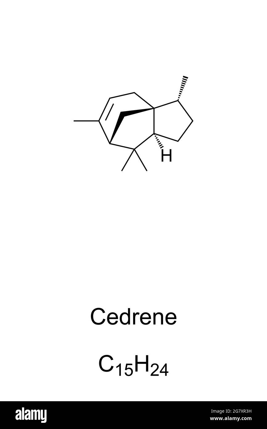 Cedrene, formula chimica e struttura scheletrica. L'alfa-cedrene, noto anche come cedr-8-ene, un composto organico, che si trova nell'olio di cedro, un olio essenziale. Foto Stock