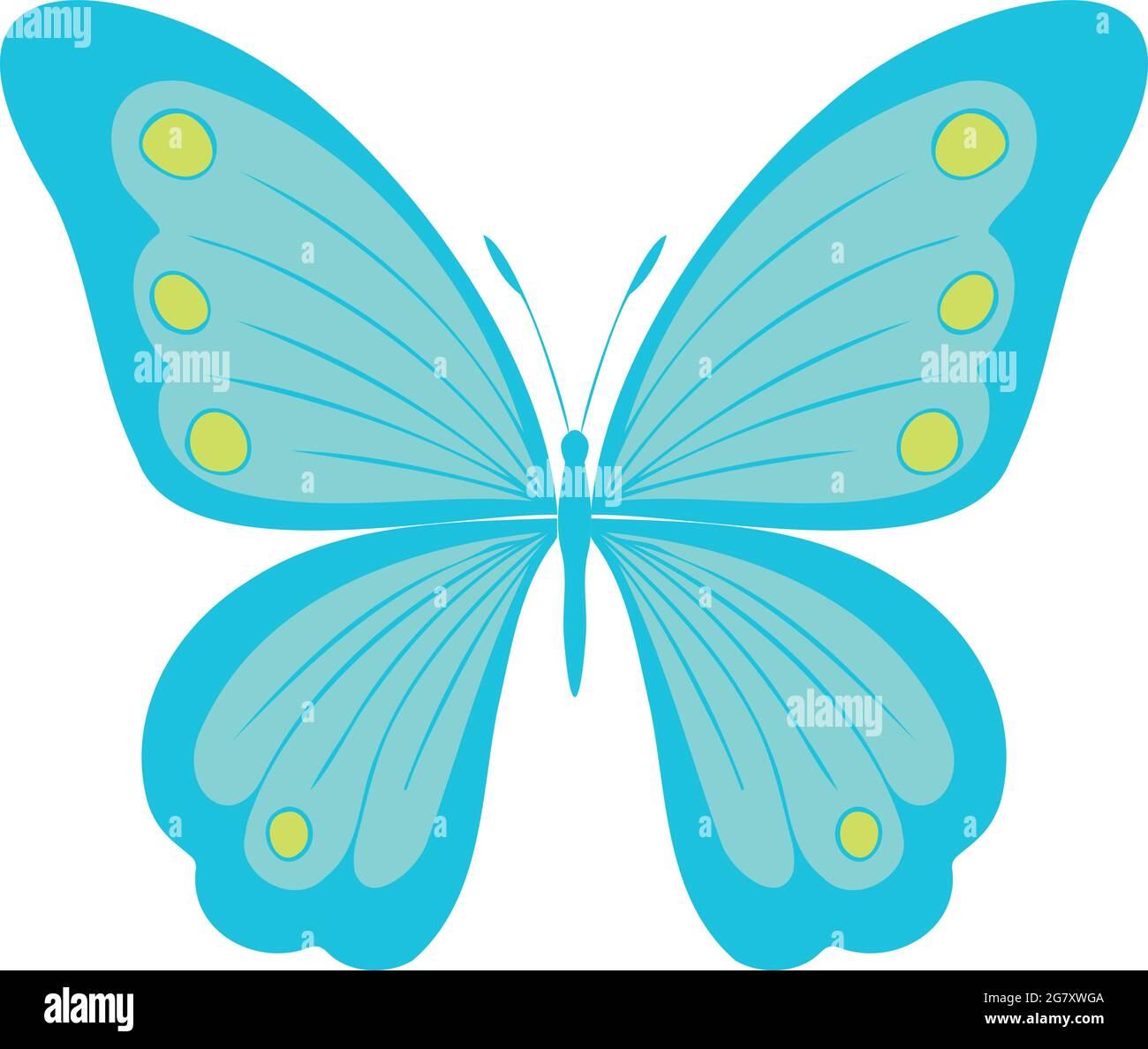 Elegante farfalla colorata , illustrazione vettoriale, icona. Farfalla con ali aperte, vista dall'alto Illustrazione Vettoriale