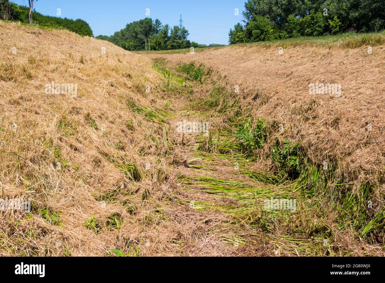 Letto di fiume di Ikva patak (Brook Ikva) asciugato in estate, Sopron, Ungheria Foto Stock