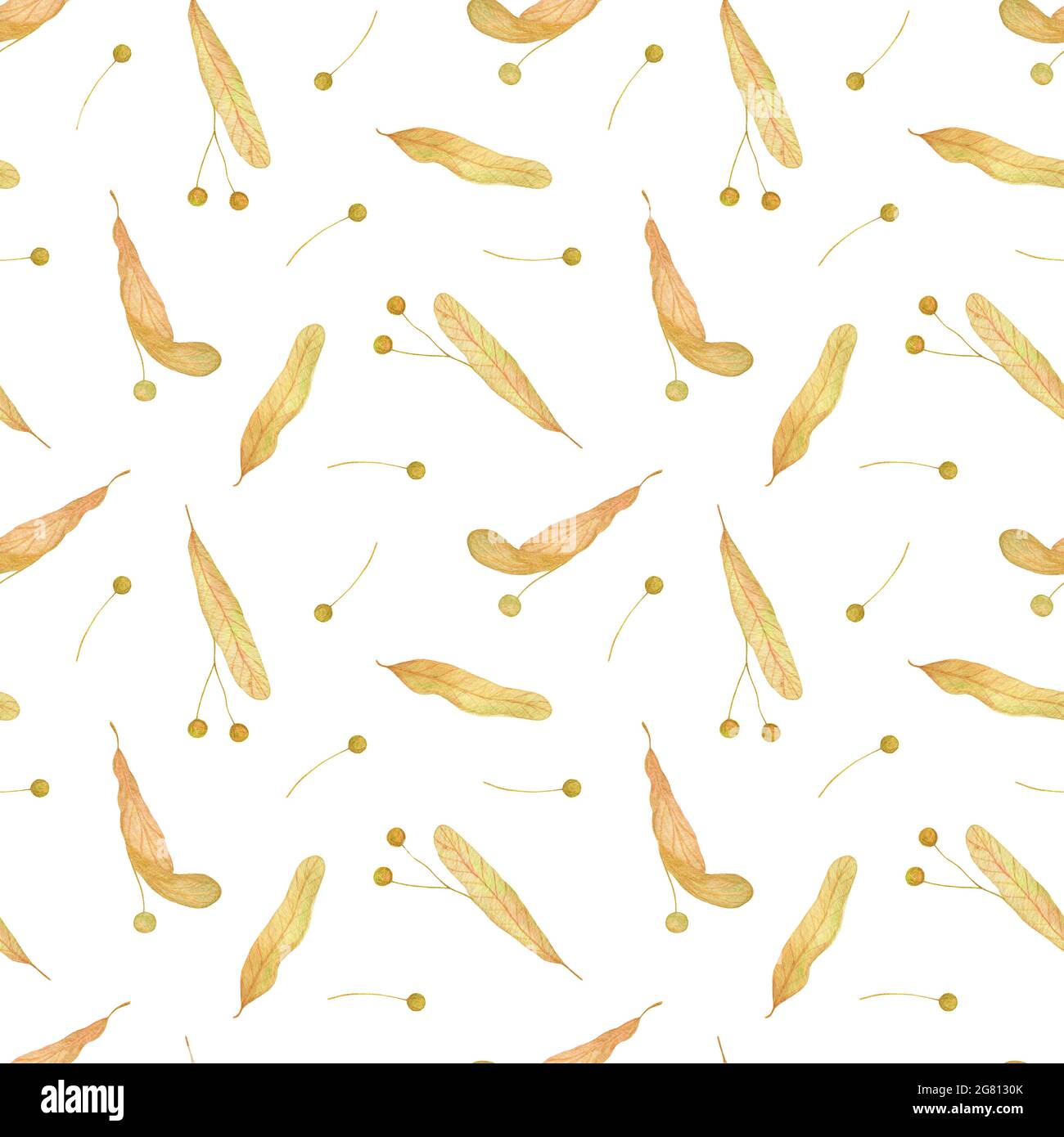 Linden albero semi senza giunture modello, miele pianta acquerello disegno a mano illustrazione floreale, ripetizione fogliame ornamento, elemento verde per il design, decorazione Foto Stock