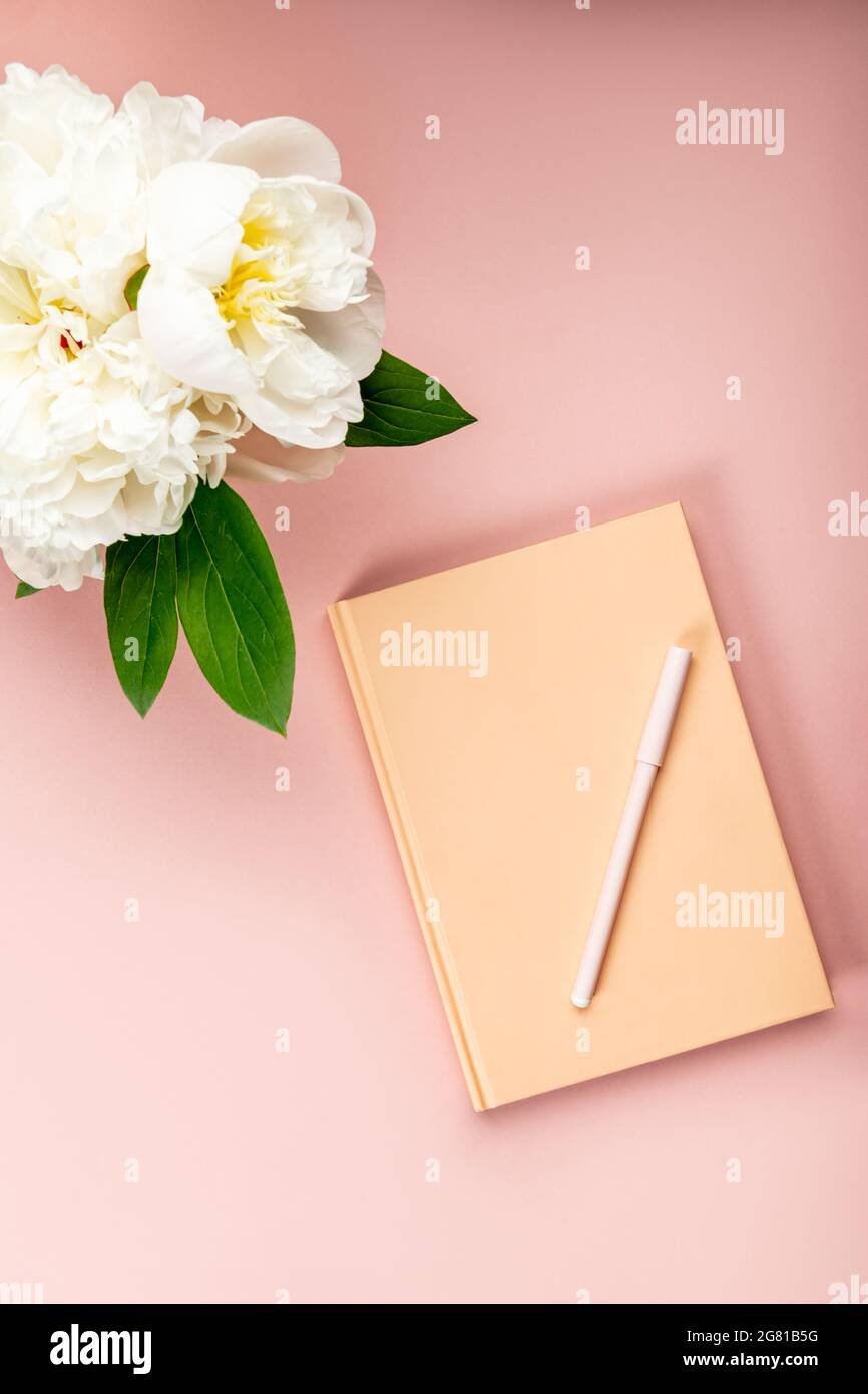 Notebook vuoto per la scrittura di sogni e idee, con diversi stages Foto Stock