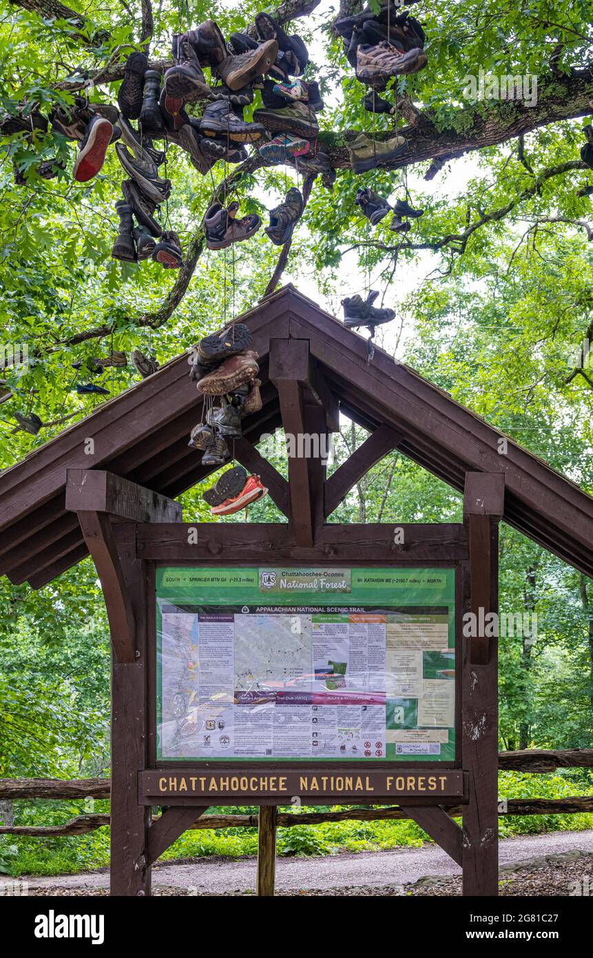Mappa Appalachian Trail e cartellone informativo sotto Shoe Tree a Walasi-Yi lungo l'Appalachian Trail nella Chattahoochee National Forest della Georgia. (STATI UNITI) Foto Stock