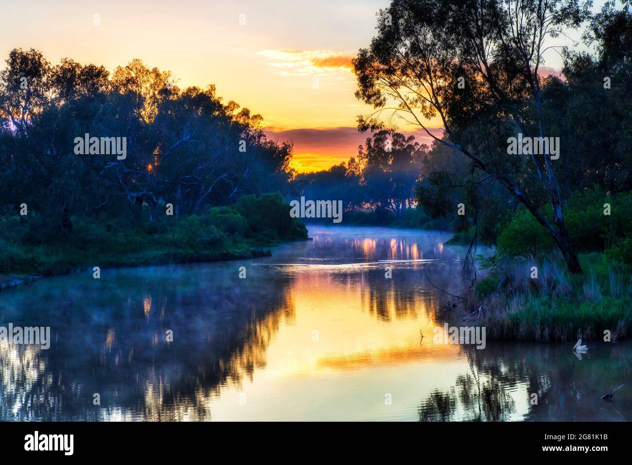 Uccelli acquatici sul fiume Macquarie nella città di Dubbo delle pianure Australiane Great Western - paesaggio panoramico alba. Foto Stock