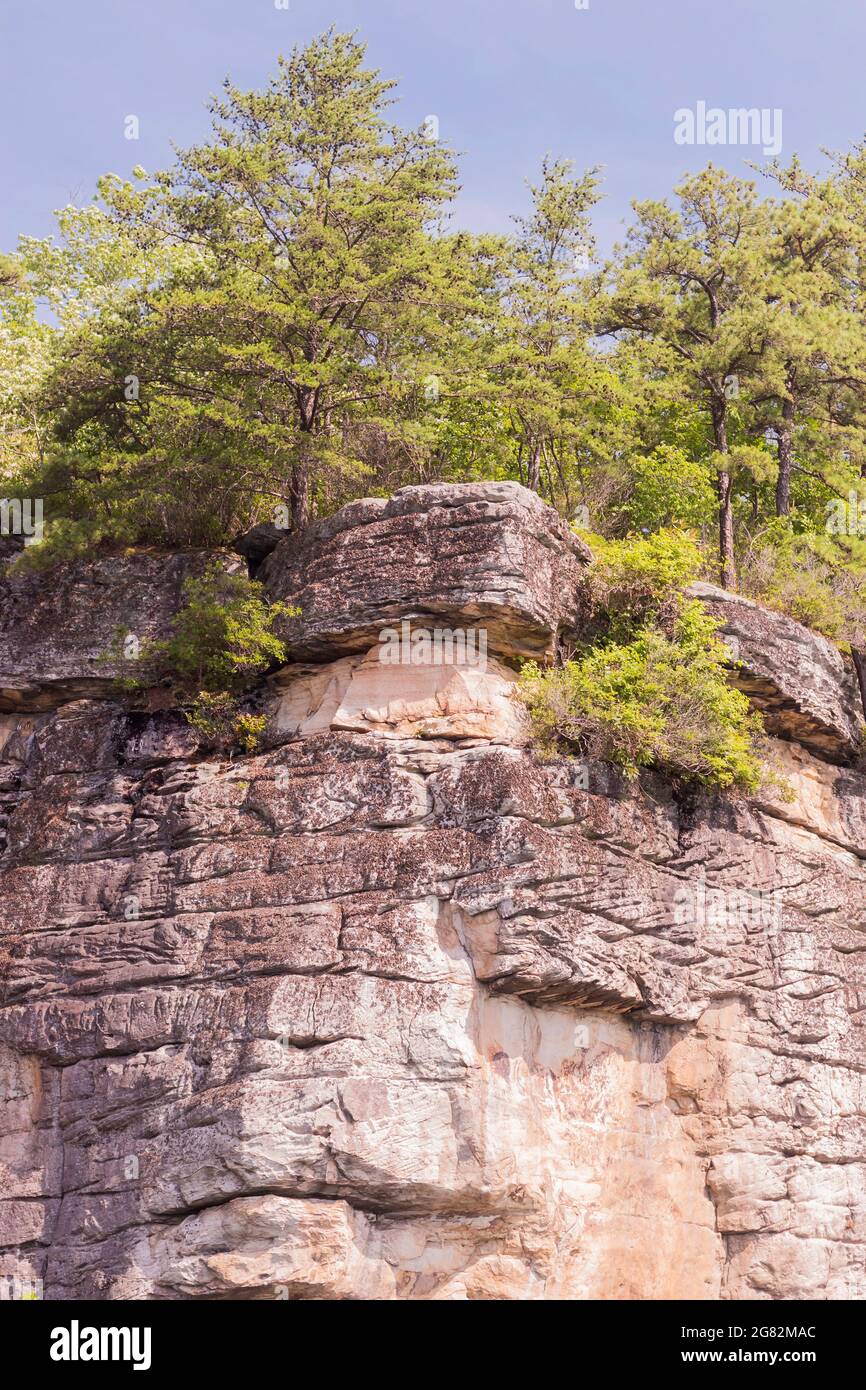 Pareti rocciose che circondano il lago Summersville a Summersville, West Virginia Foto Stock
