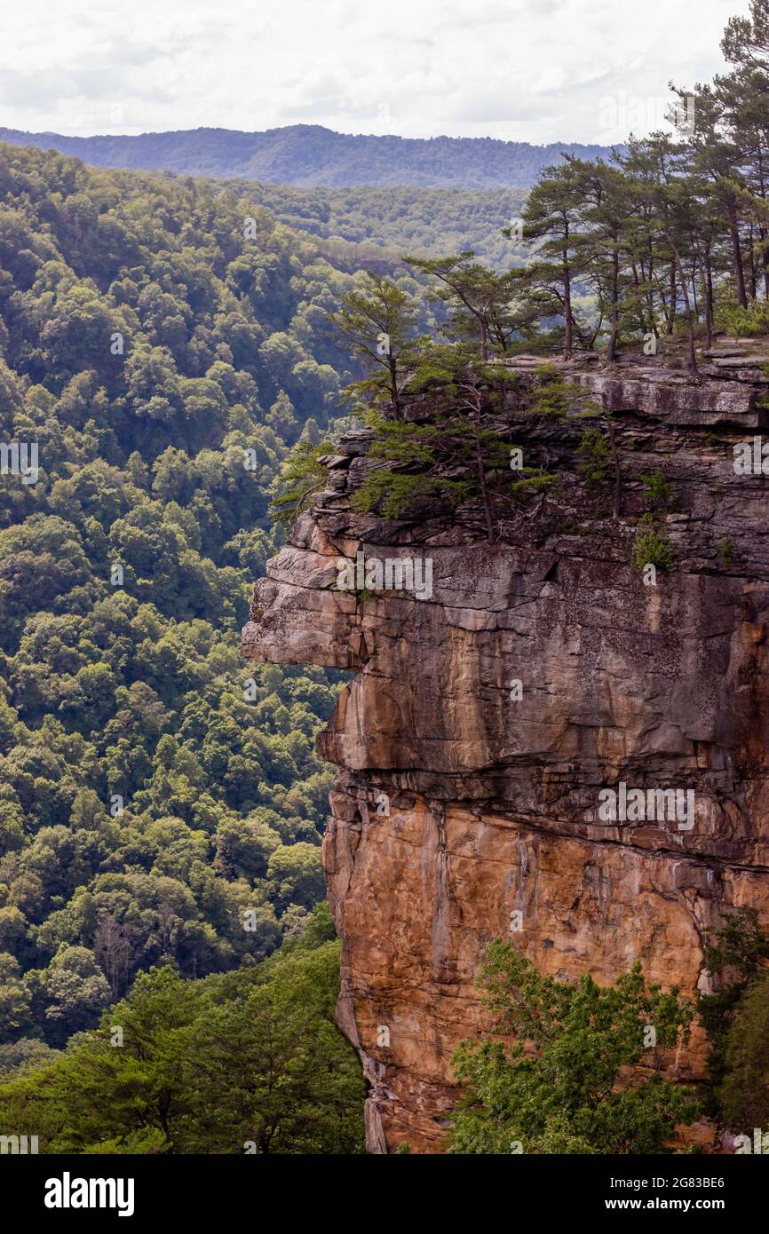 Rock Cliff sull'Endless Wall Trail nel New River Gorge National Park Foto Stock