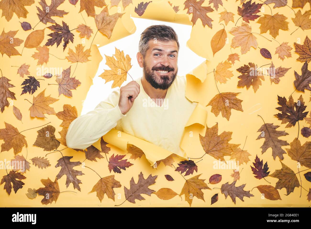 Pubblicità online. Abito autunnale. Autunno Abbigliamento e colori  tendenze. Uomo moda casual. L'autunno è un periodo bello e colorato  dell'anno. Bell'uomo Foto stock - Alamy