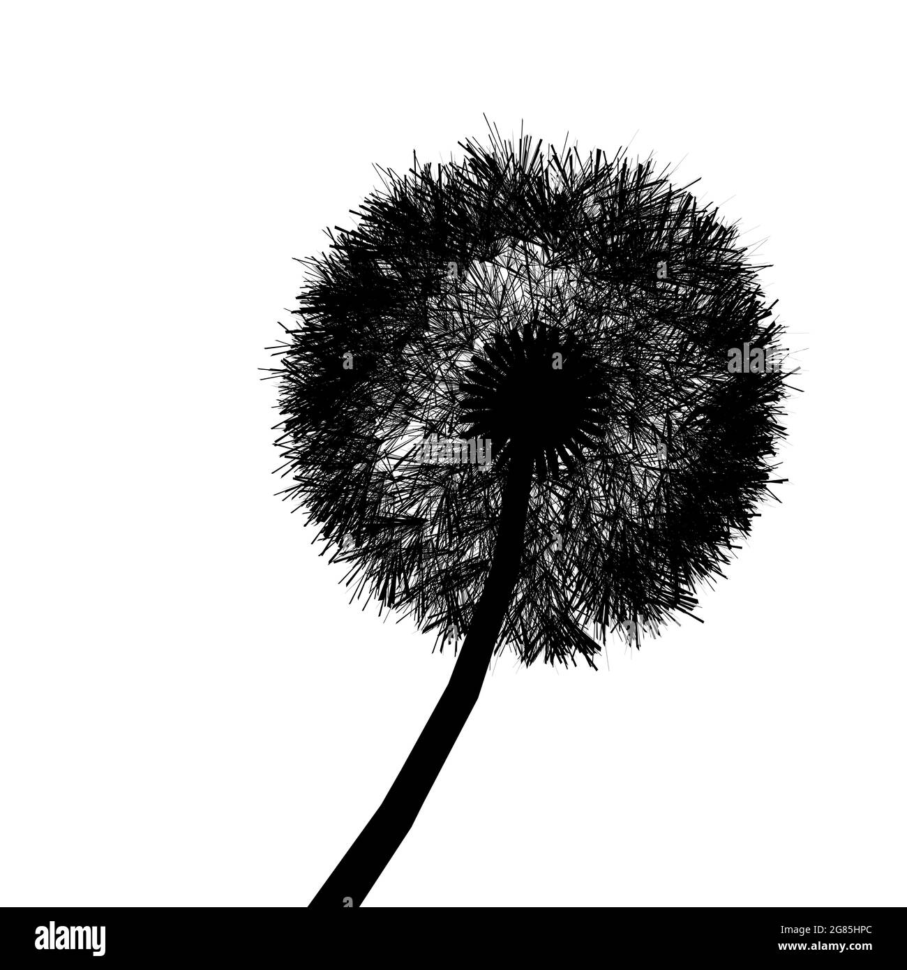 Profilo del dente di leone isolato su sfondo bianco. Illustrazione vettoriale. Illustrazione Vettoriale