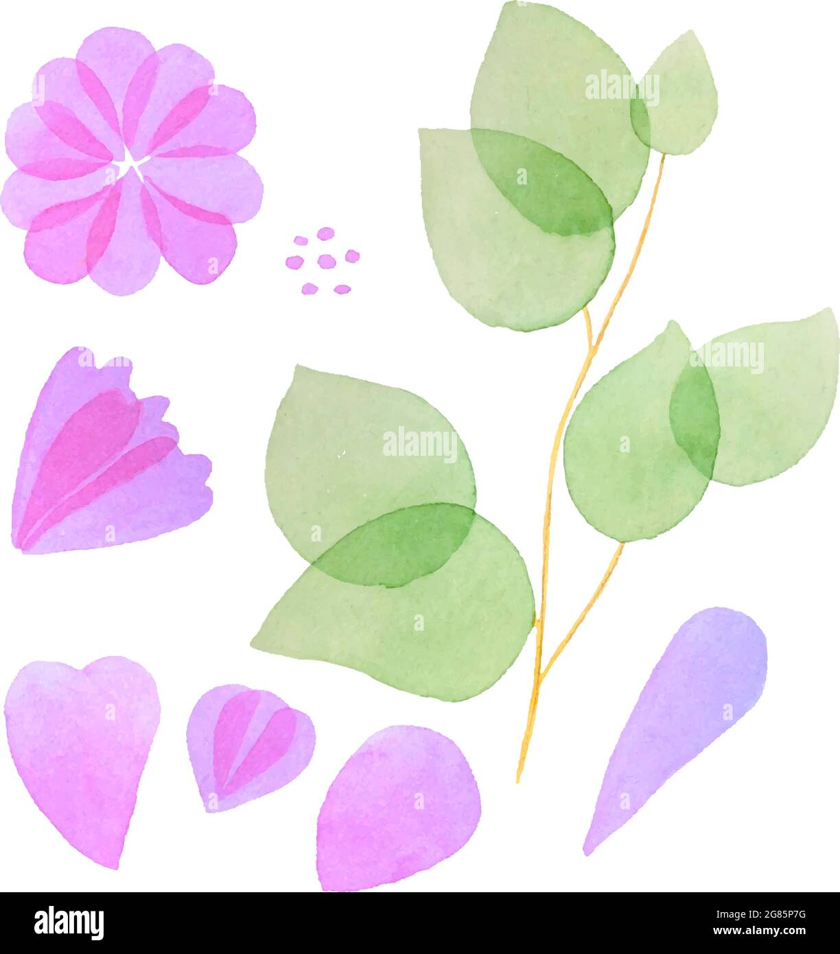 Set di elementi botanici acquerelli petali di fiore foglie di ramificazione di germoglio, isolati. Illustrazione vettoriale Illustrazione Vettoriale