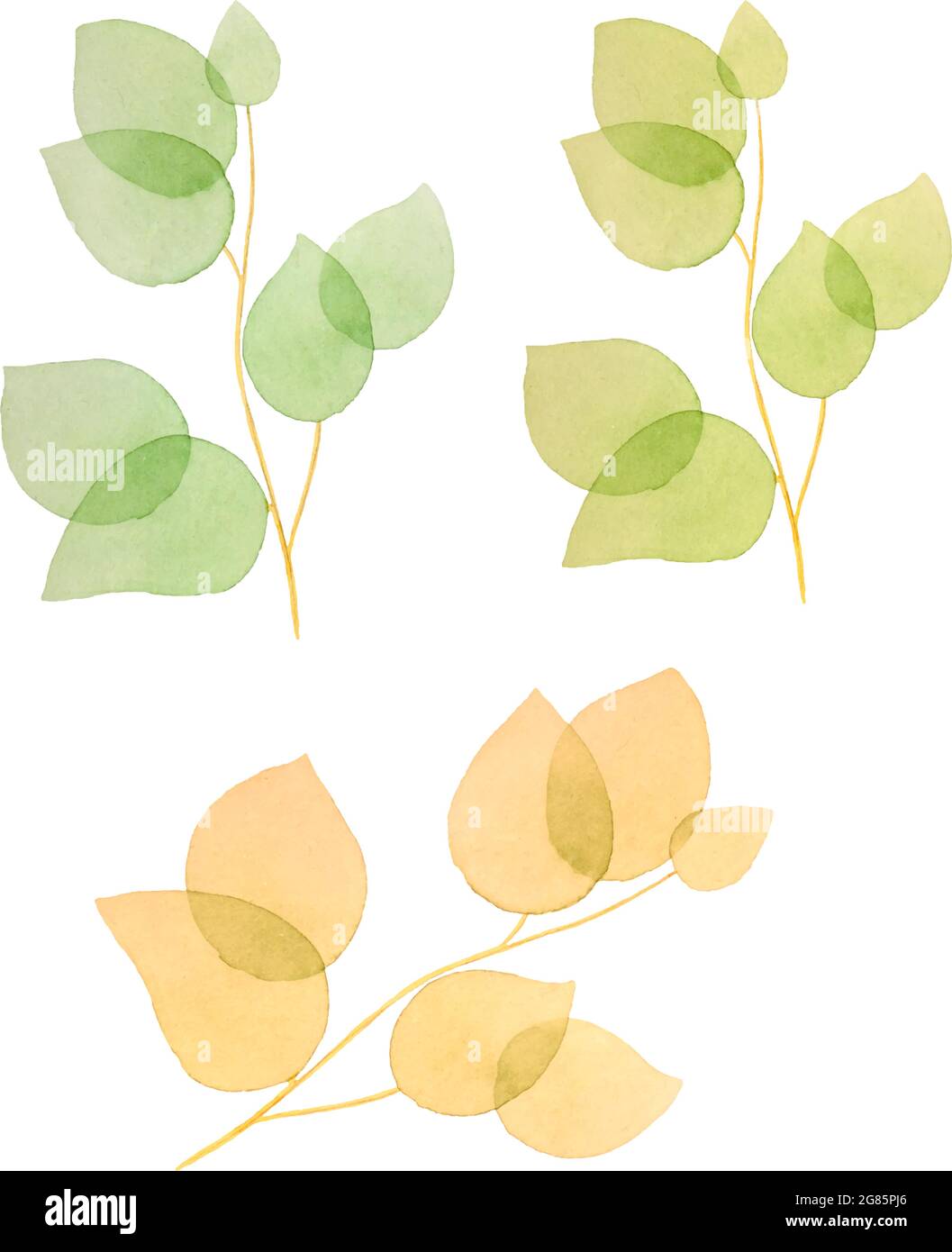 Insieme di rami con foglie acquerello, foglie primaverili o autunnali, elementi isolati, per sfondo, striscione, cartolina. Illustrazione vettoriale Illustrazione Vettoriale