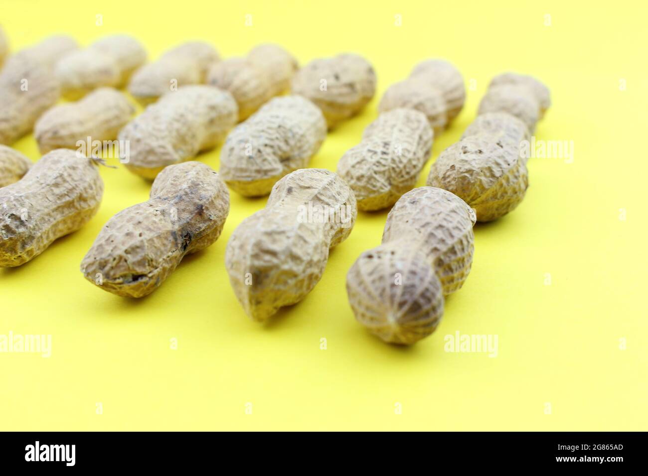 Arachidi Gruppo di Arachis ipogea su sfondo giallo Foto Stock