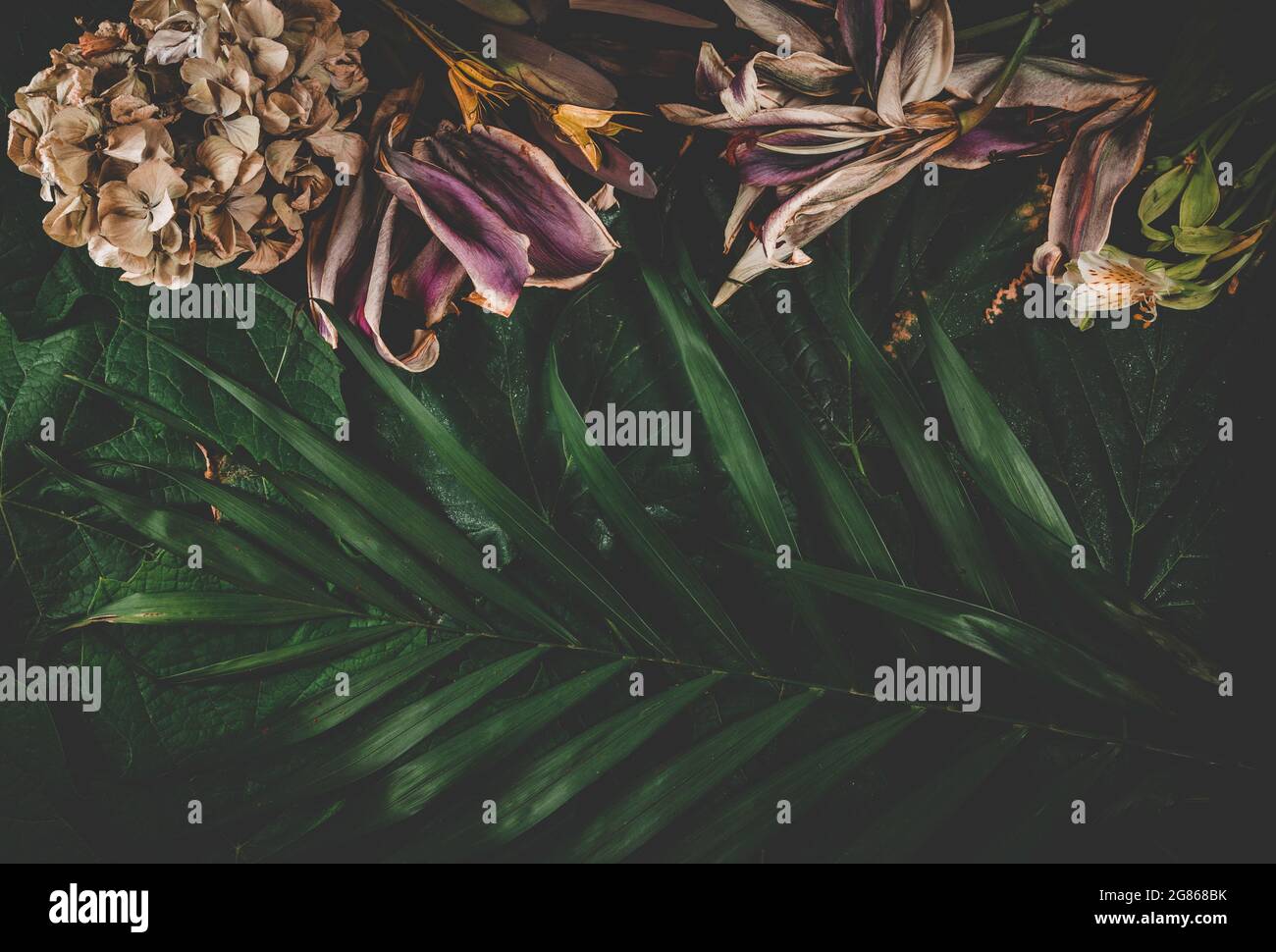 Sfondo floreale scuro fatto di fiori secchi diversi e foglie di palma. Idea di diversità naturale. Concetto minimo di estate e giungla. Foto Stock