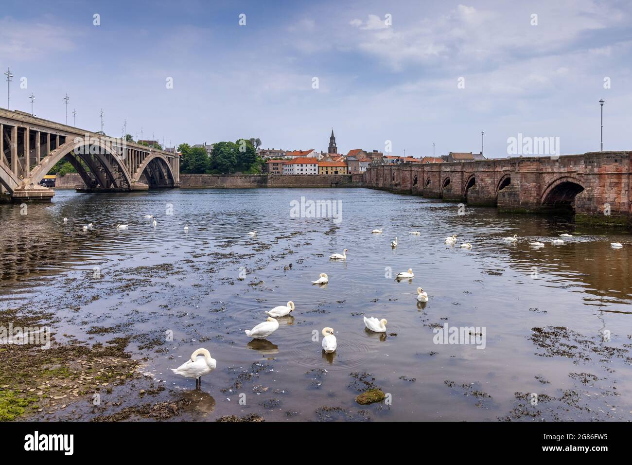 Il fiume Tweed da Tweedmouth verso Berwick upon Tweed, con il Royal Tweed Bridge e il 17 ° secolo Berwick Bridge (Ponte Vecchio). Foto Stock