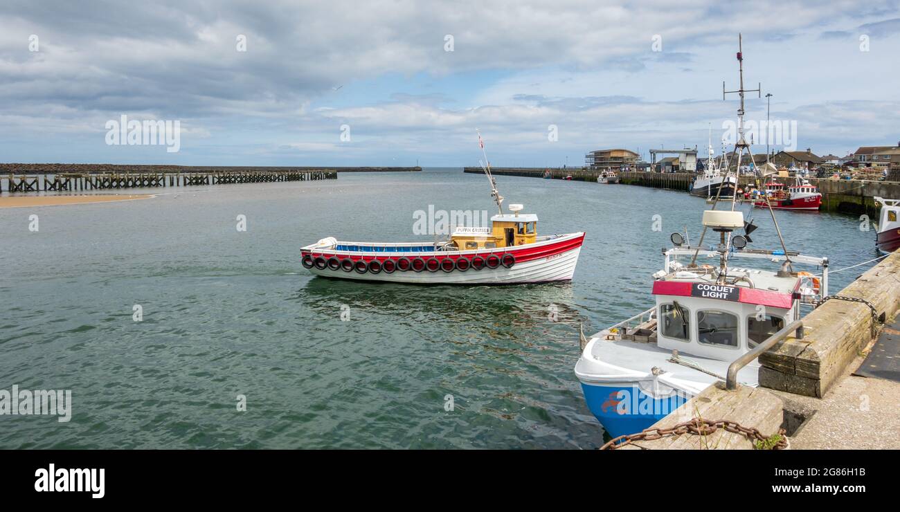 Pesca e una barca Puffin Cruises al porto di Ble sulla costa del Northumberland, Inghilterra. Foto Stock