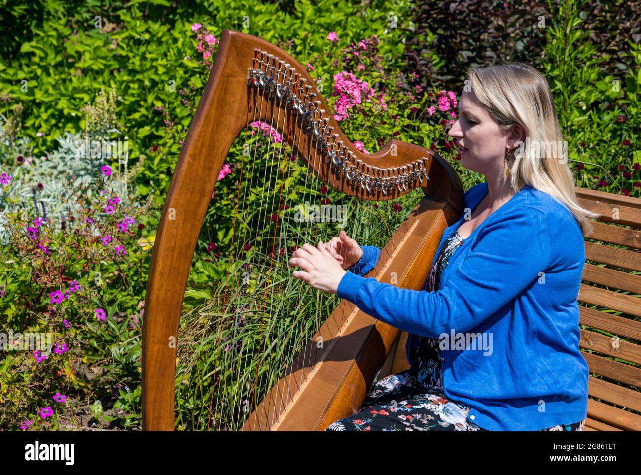 Haddington, East Lothian, Scozia, Regno Unito, 17 luglio 2021. L'arpista celtica Ailie Robertson suona nel giardino murato di Amisfield: Un concerto socialmente distanziato si svolge nel giardino murato gestito da volontari, uno dei più grandi della Scozia. Ailie Robertson è un premiato compositore e performer che suona musica tradizionale e contemporanea arpa Foto Stock