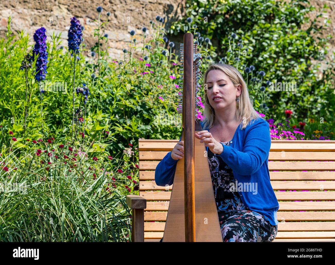 Haddington, East Lothian, Scozia, Regno Unito, 17 luglio 2021. L'arpista celtica Ailie Robertson suona nel giardino murato di Amisfield: Un concerto socialmente distanziato si svolge nel giardino murato gestito da volontari, uno dei più grandi della Scozia. Ailie Robertson è un premiato compositore e performer che suona musica tradizionale e contemporanea arpa Foto Stock
