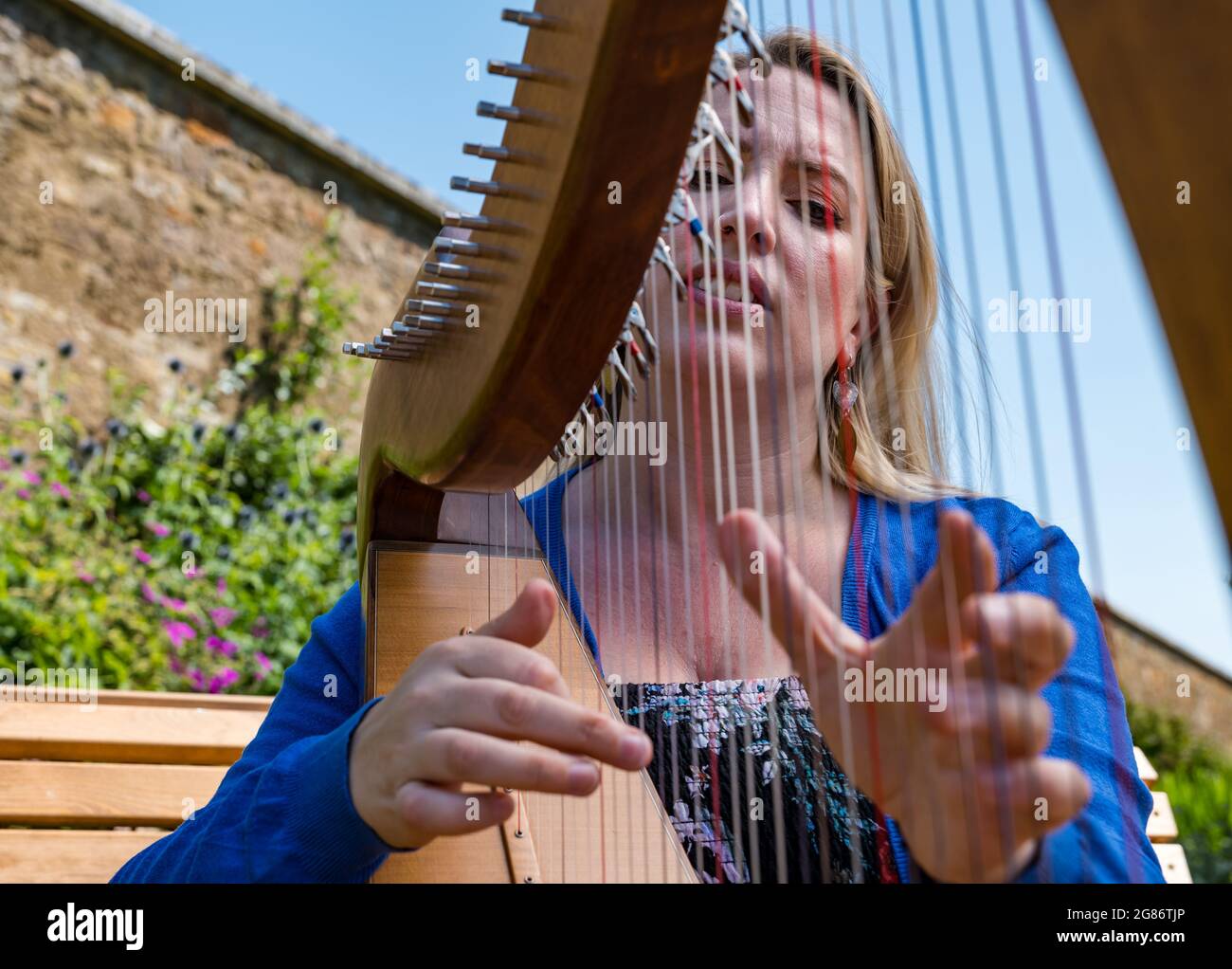 Haddington, East Lothian, Scozia, Regno Unito, 17 luglio 2021. L'arpista celtica Ailie Robertson suona nel giardino murato di Amisfield: Un concerto socialmente distanziato si svolge nel giardino murato gestito da volontari, uno dei più grandi della Scozia. Ailie Robertson è un premiato compositore e performer che suona musica tradizionale e contemporanea arpa Foto Stock