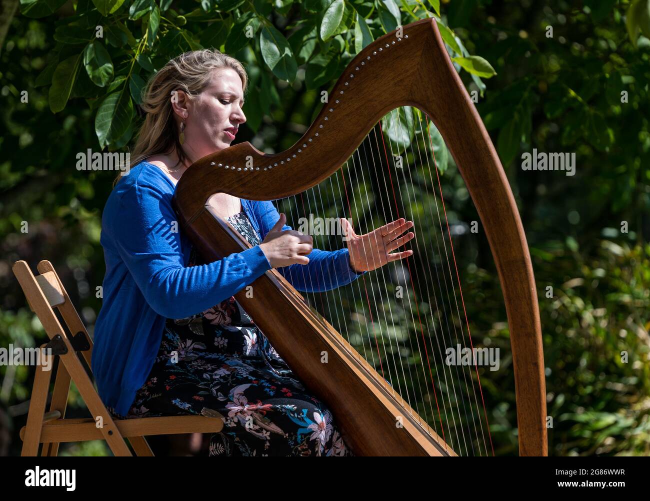 Haddington, East Lothian, Scozia, Regno Unito, 17 luglio 2021. L'arpista celtica Ailie Robertson suona nel giardino murato di Amisfield: Un concerto socialmente distanziato si svolge nel giardino murato gestito da volontari, uno dei più grandi della Scozia. Ailie Robertson è un premiato compositore e performer che suona musica tradizionale e contemporanea arpa Foto Stock