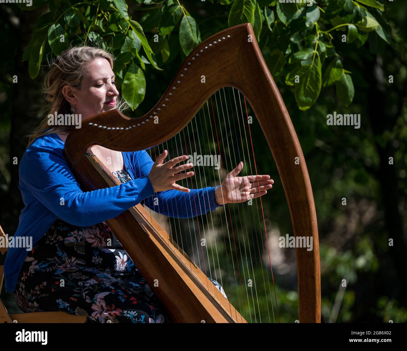 Haddington, East Lothian, Scozia, Regno Unito, 17 luglio 2021. L'arpista celtica Ailie Robertson suona nel giardino murato di Amisfield: Un concerto socialmente distanziato si svolge nel giardino murato gestito da volontari, uno dei più grandi della Scozia. Ailie Robertson è un premiato compositore e performer che suona musica tradizionale e contemporanea arpa Foto Stock