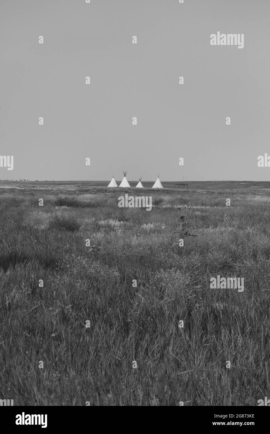 Strutture native americane di Tipi al Plains Conservation Centre di Aurora, Colorado; parte della storia indigena della prateria utilizzata per l'istruzione. Foto Stock