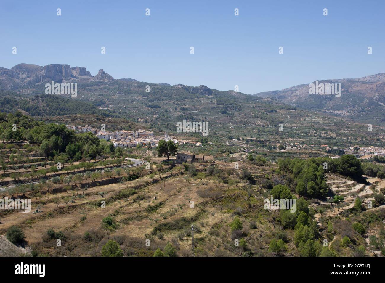 Colture di mandorle e olivi su terrazze lungo la strada e villaggi passato tra in Coll de Rates o Costa Blanca montagne Spagna Foto Stock