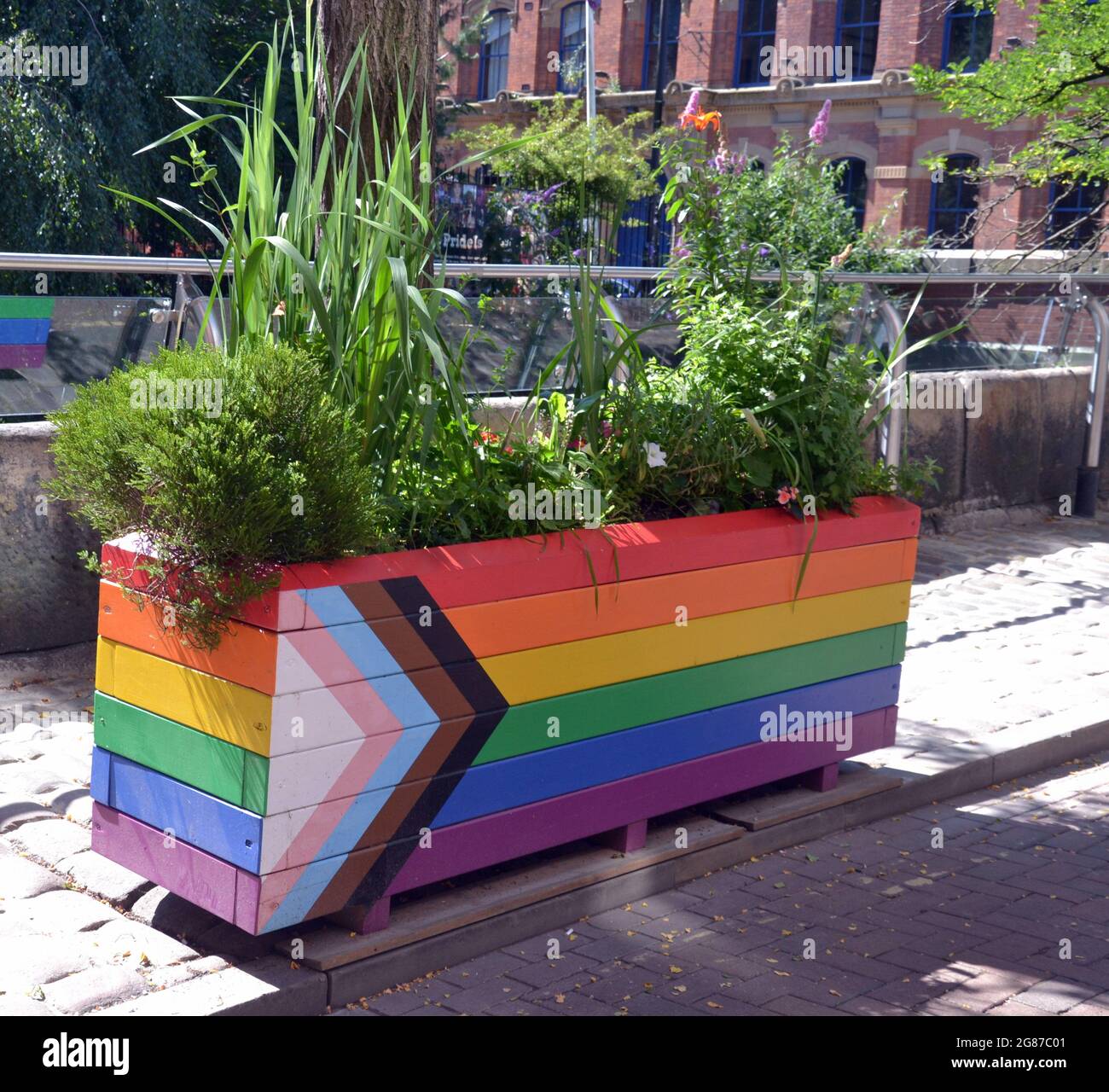 Piantatrice arcobaleno con piante nel Villaggio gay, nel centro di Manchester, Inghilterra, Regno Unito. Foto Stock