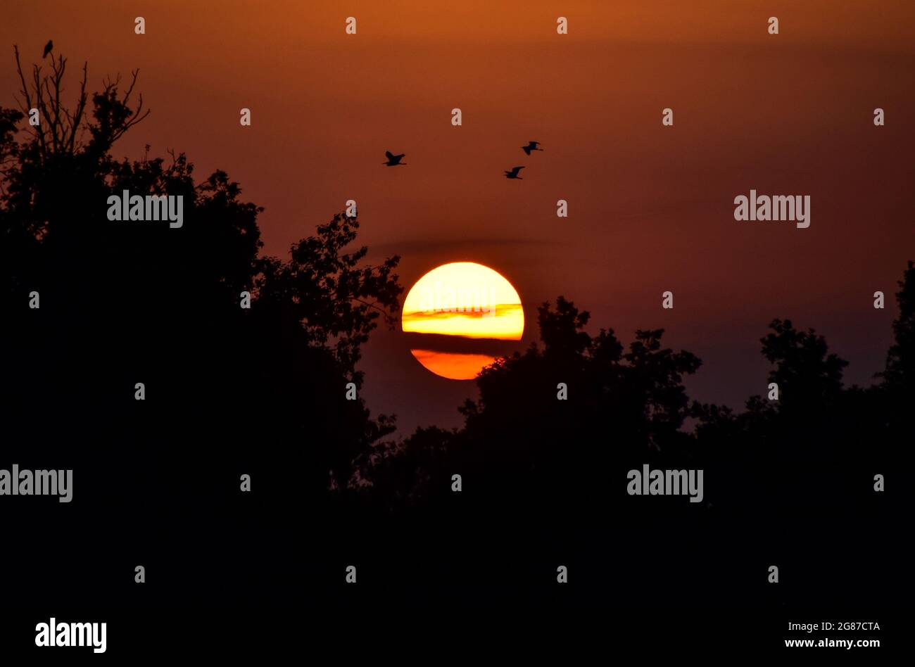 Srinaga, India. 17 luglio 2021. Il sole tramonta dopo una calda giornata estiva a Srinagar. (Foto di Saqib Majeed/SOPA Images/Sipa USA) Credit: Sipa USA/Alamy Live News Foto Stock