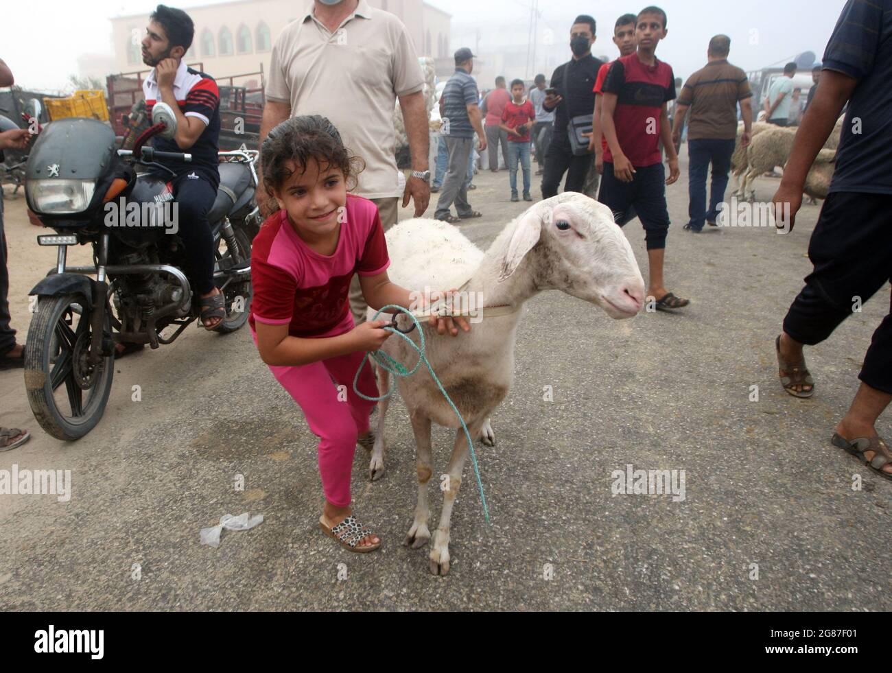 Rafah, Gaza. 17 luglio 2021. Una ragazza palestinese gioca con le pecore in un mercato del bestiame davanti a Eid al-Adha, a Rafah, nella striscia di Gaza meridionale, sabato 17 luglio, 2021. I musulmani di tutto il mondo celebrano Eid al-Adha visitando le tombe dei loro cari e macellando pecore, capre, mucche e cammelli, in commemorazione della disponibilità del profeta Abramo a sacrificare suo figlio Ismail su comando di Dio. Foto di Ismael Mohamad/UPI Credit: UPI/Alamy Live News Foto Stock