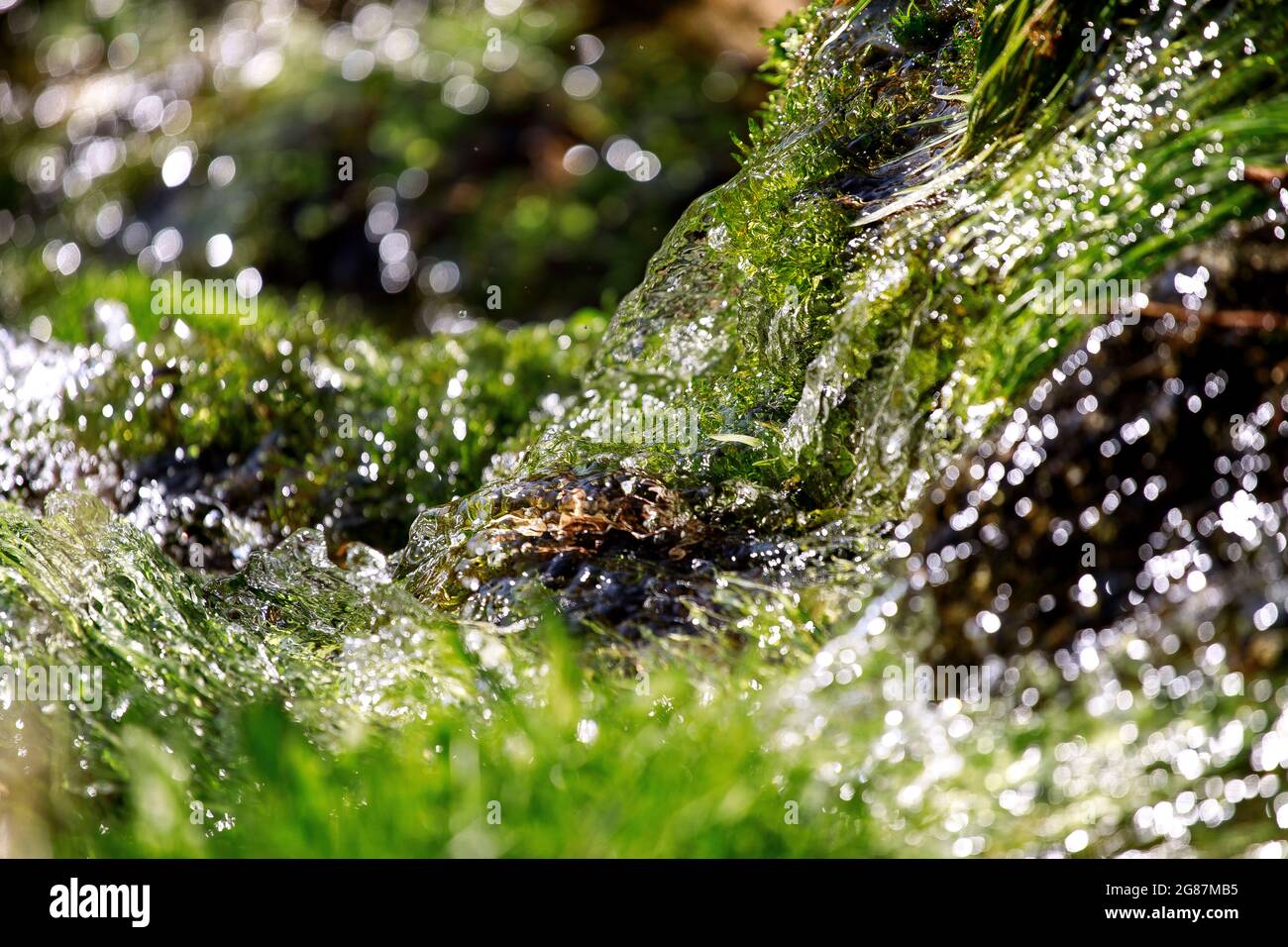 Primo piano di acqua pulita fresca e natura verde. Spruzzi acqua fresca in movimento, spruzzando acqua in torrente, sfondo astratto. Foto Stock Primo piano di acqua pulita fresca e natura verde. Spruzzi acqua fresca in movimento, spruzzando acqua in torrente, sfondo astratto. Foto Stock