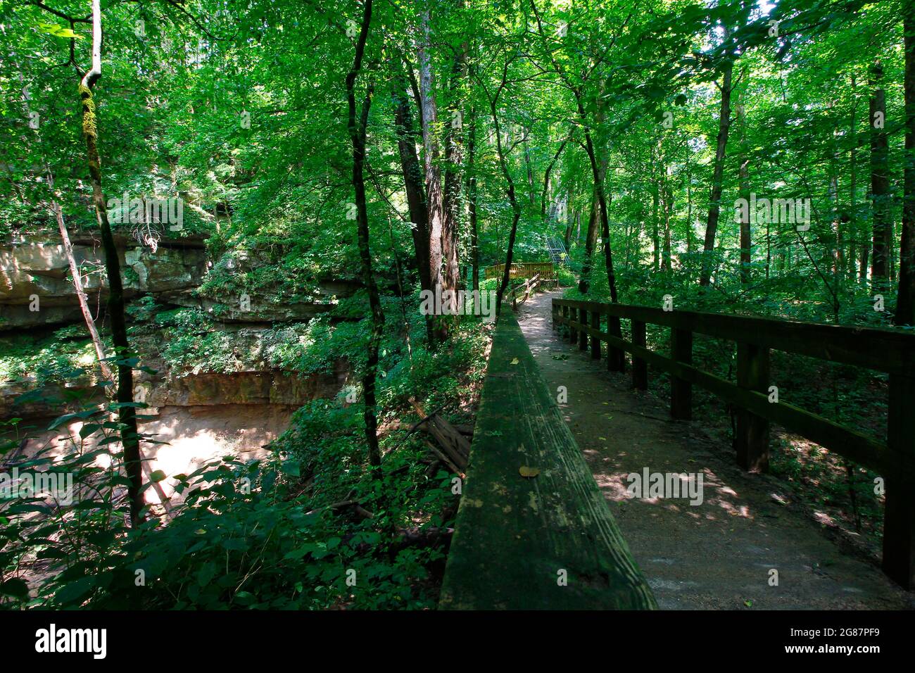 Vista dal Cedar Sink Trail, dal Mammoth Cave National Park, Kentucky Foto Stock