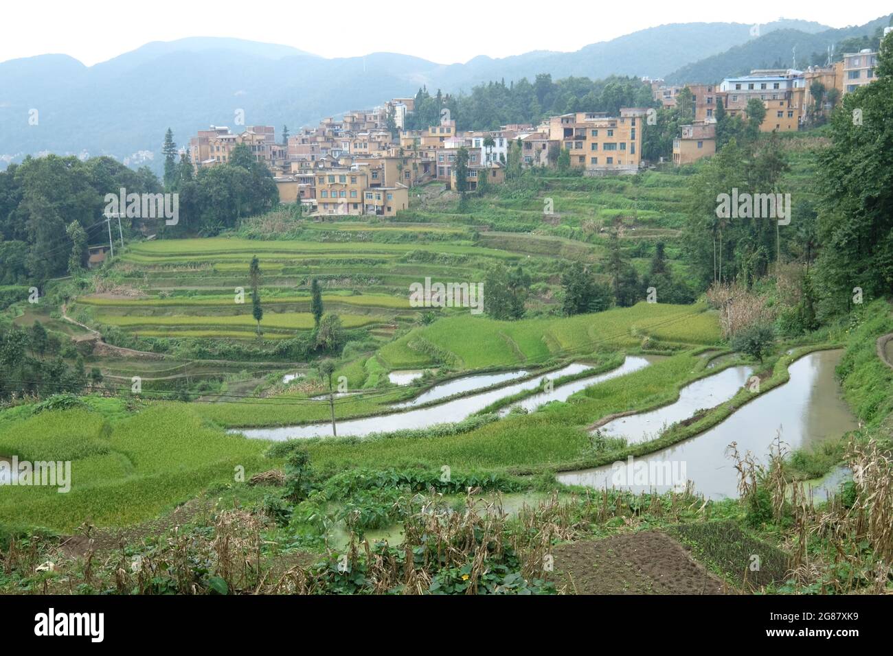 Fantastici campi di riso uno stile di agricoltura nella provincia di Yunnan Cina meridionale Foto Stock