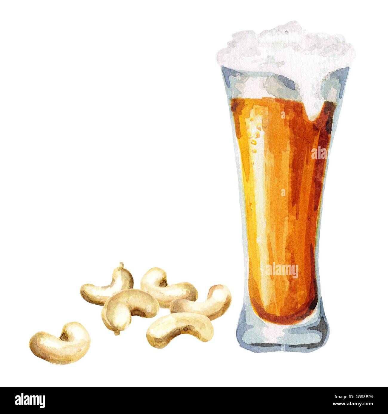Birre e noci di anacardi. Acquerello Foto Stock