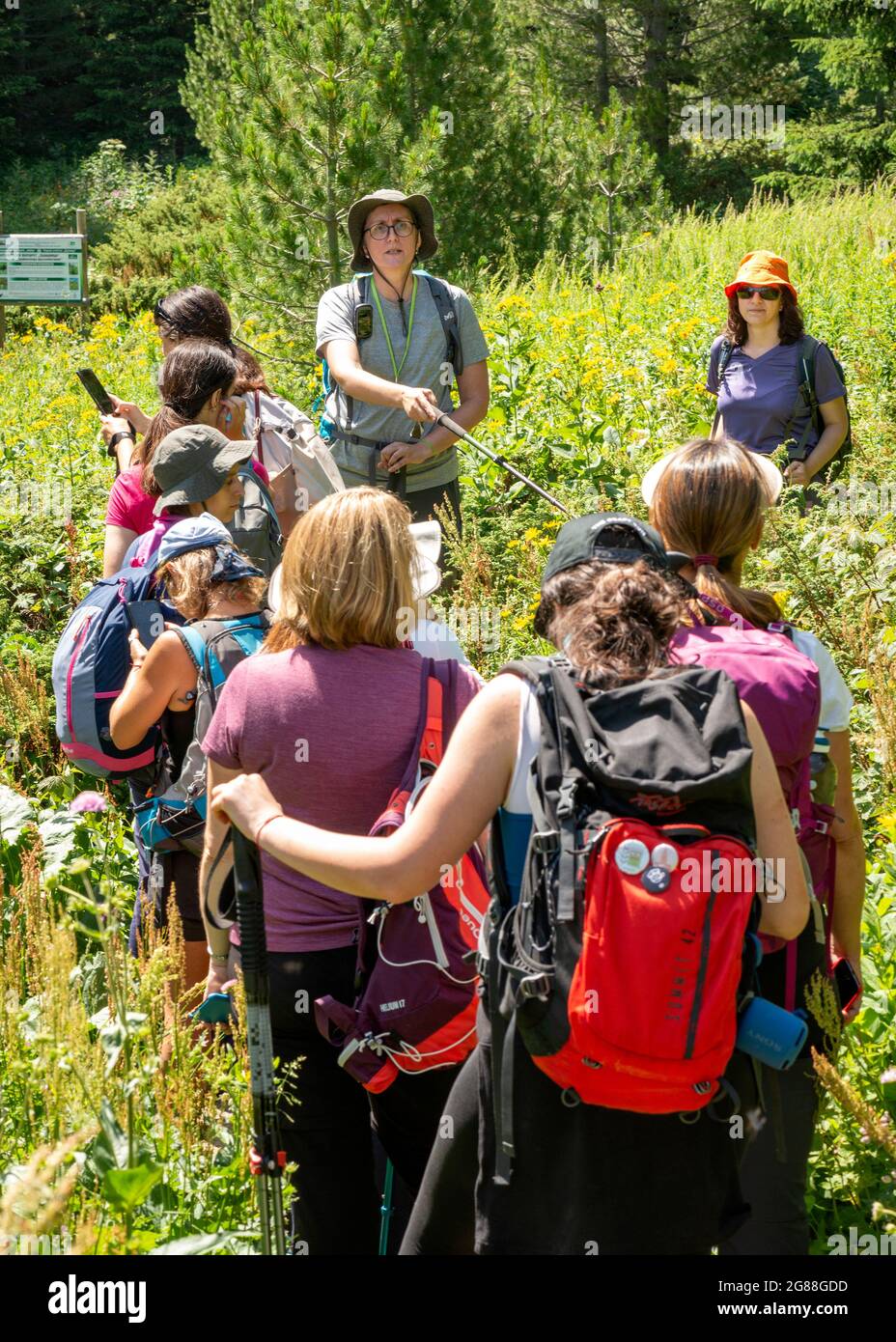 Botanica femminile che presenta una lezione sulla biodiversità delle specie vegetali a gruppi di escursionisti nella Riserva Naturale della Biosfera di Rila, Monte Rila, Bulgaria, Balcani Foto Stock