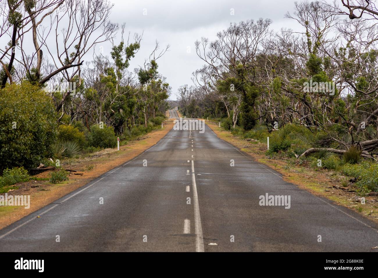 Una strada che si snoda con alberi ringiovanenti su entrambi i lati in Kangaroo Island South Australia Foto Stock