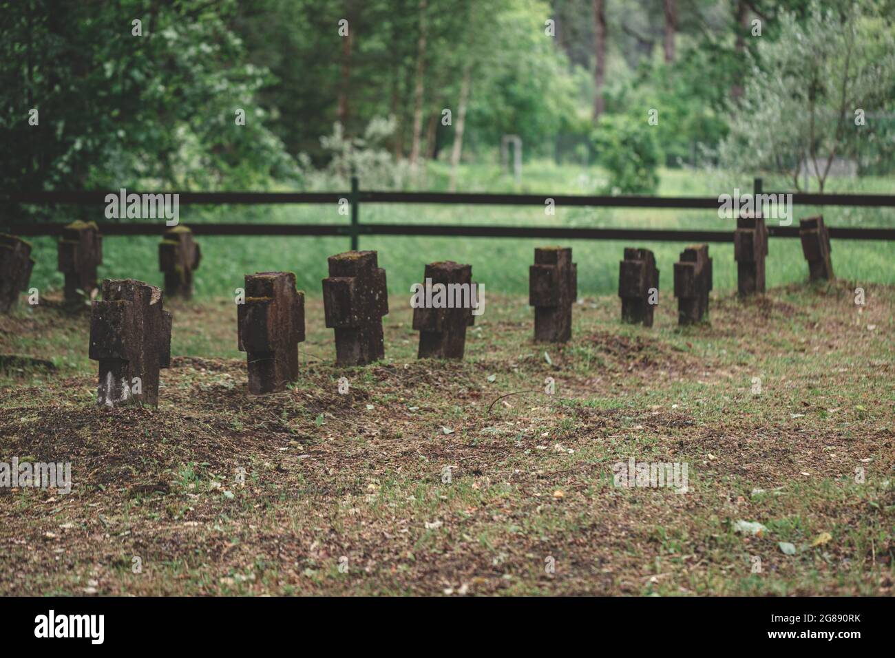 Cimitero dei fratelli della guerra mondiale nella campagna lettone. Croci sopravsviluppate con stadds di muschio in linea. Morti soldati tedeschi tombe in Europa. Recinzione e foresta Foto Stock