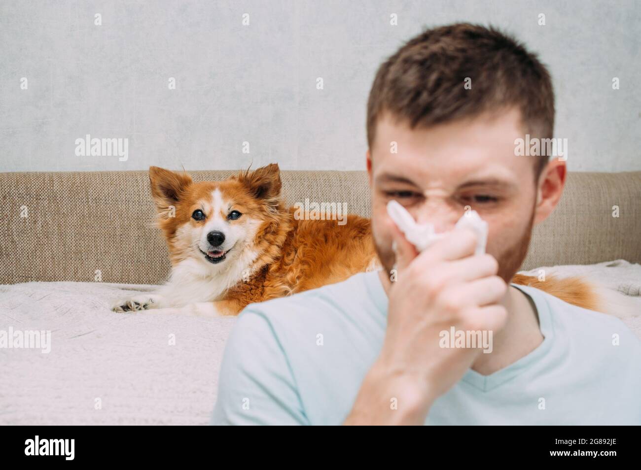 Ritratto di un uomo e di un cane. Concetto di allergia ai capelli degli animali Foto Stock