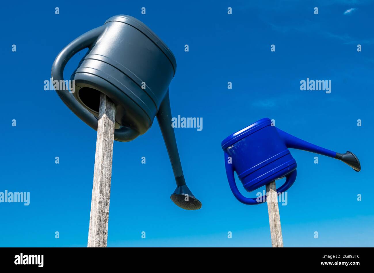 Due lattine di irrigazione in plastica appiccicate a testa in giù sui poli di legno Foto Stock