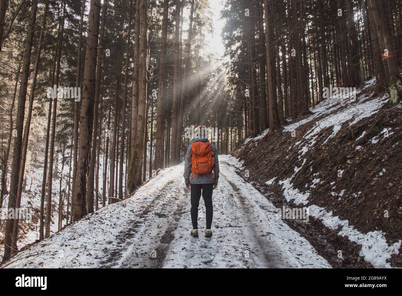 Escursionista di 20-25 anni sta camminando attraverso la natura selvaggia con il suo zaino rosso. Ora magica. I raggi del sole strisciano attraverso la foresta e illuminano il Foto Stock