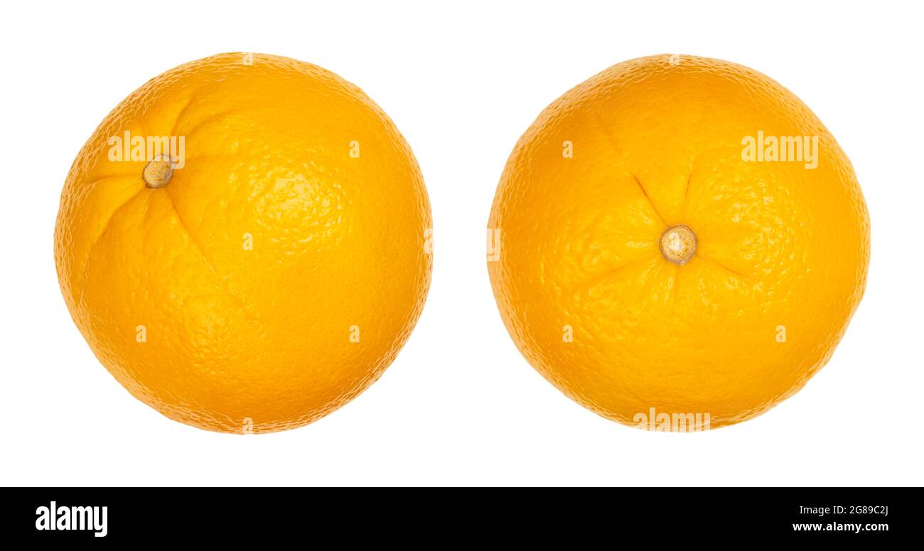 Arancio Valencia intero, vista laterale e dall'alto, isolato, su sfondo bianco. Frutto maturo e dolce di Citrus sinensis, un frutto senza semina. Foto Stock