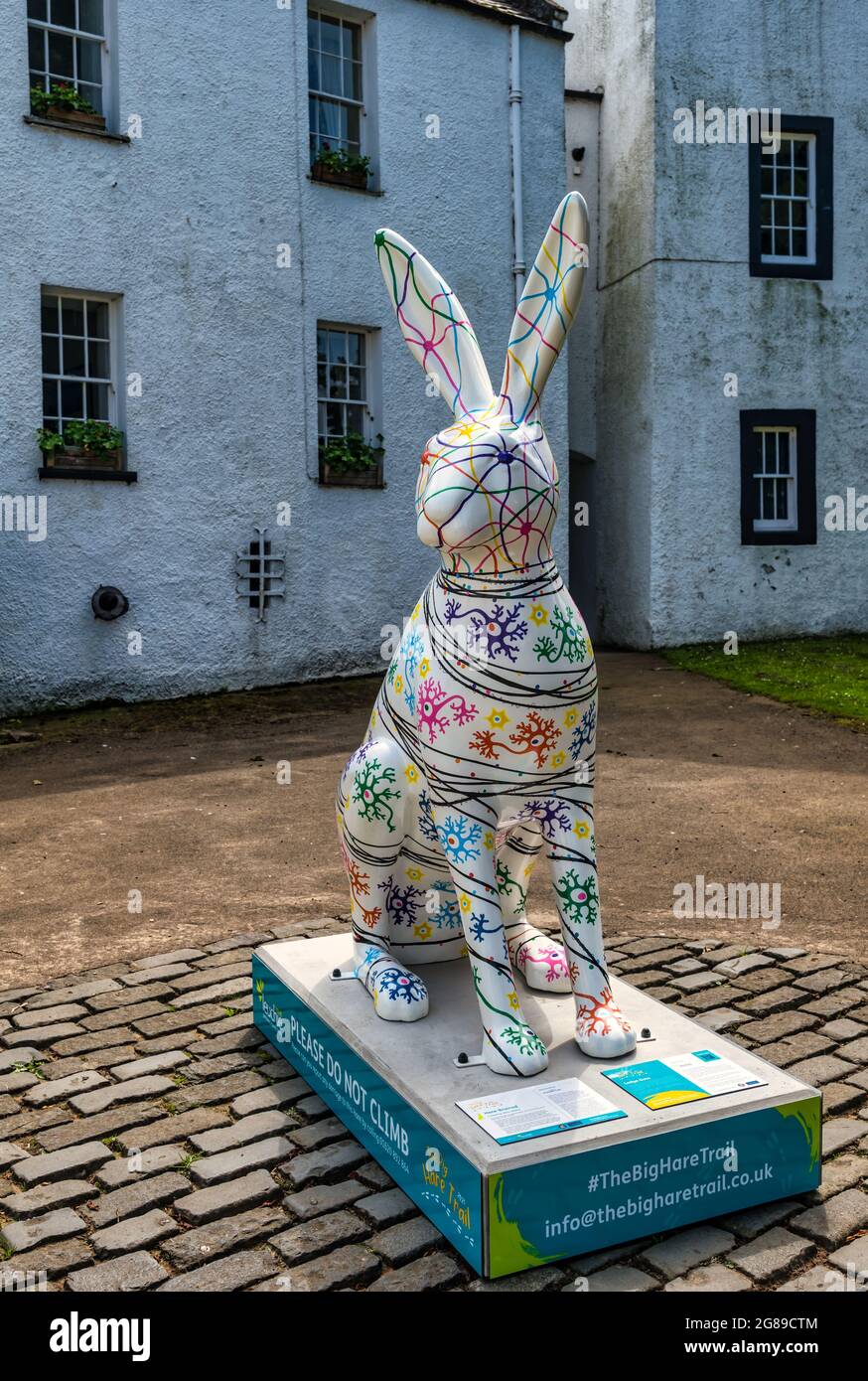 Colorata scultura d'arte lepre gigante, il Big Hare Trail evento, North Berwick, East Lothian, Scozia, Regno Unito Foto Stock